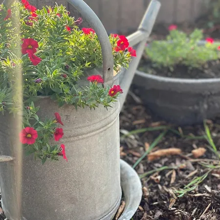 Calm 3-zimmer Mit Wintergarten Daire