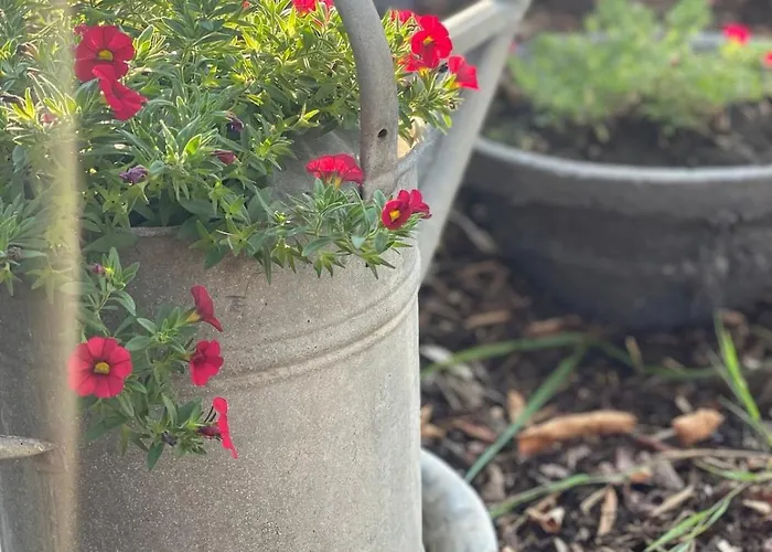 Calm 3-zimmer Mit Wintergarten 公寓